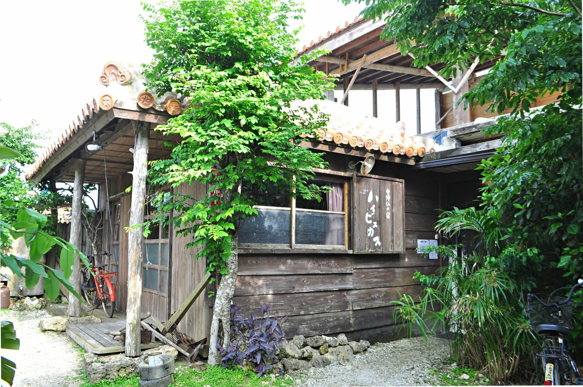 Hotel Nakijin No Yado Hibiscus Esterno foto